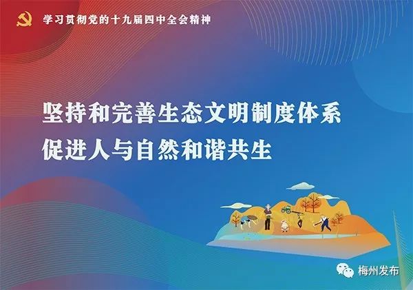 疫情期间的心理绿洲，有效应对措施与心灵守护