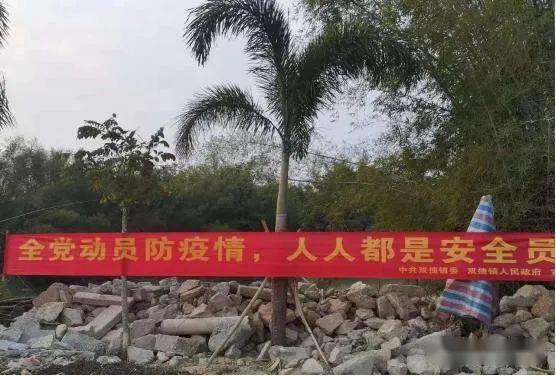 宜宾古柏镇，疫情防控电话筑起绿水青山坚实防线