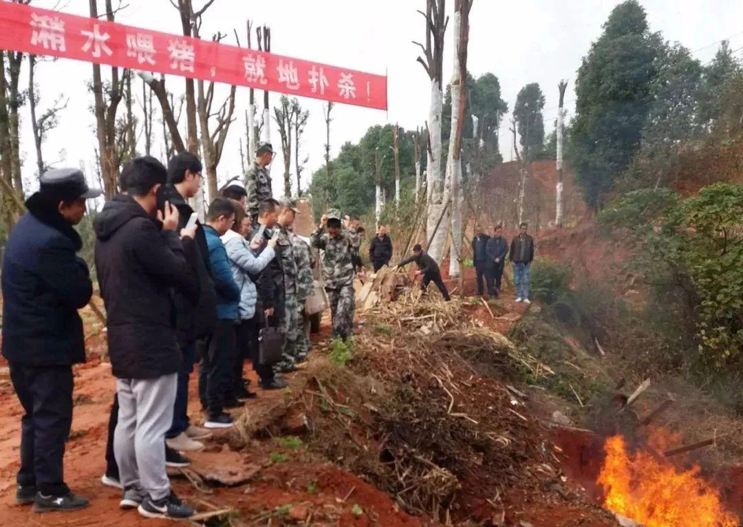 宜宾屏山今日疫情最新通报，共筑防线，守护绿水青山