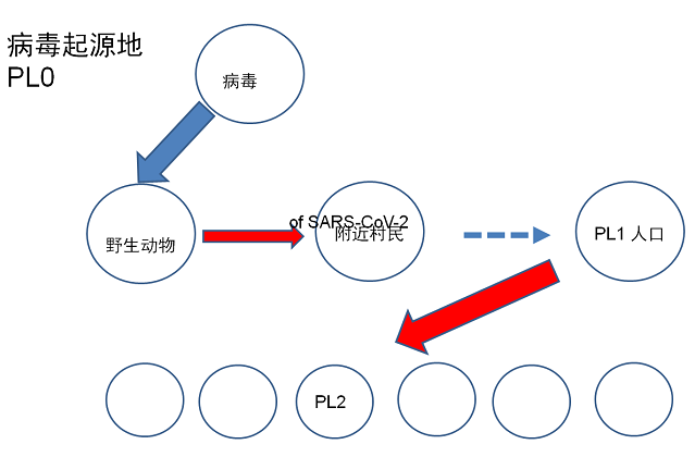 疫情的起源与传播机制探析，从源头到全球扩散的深度解析