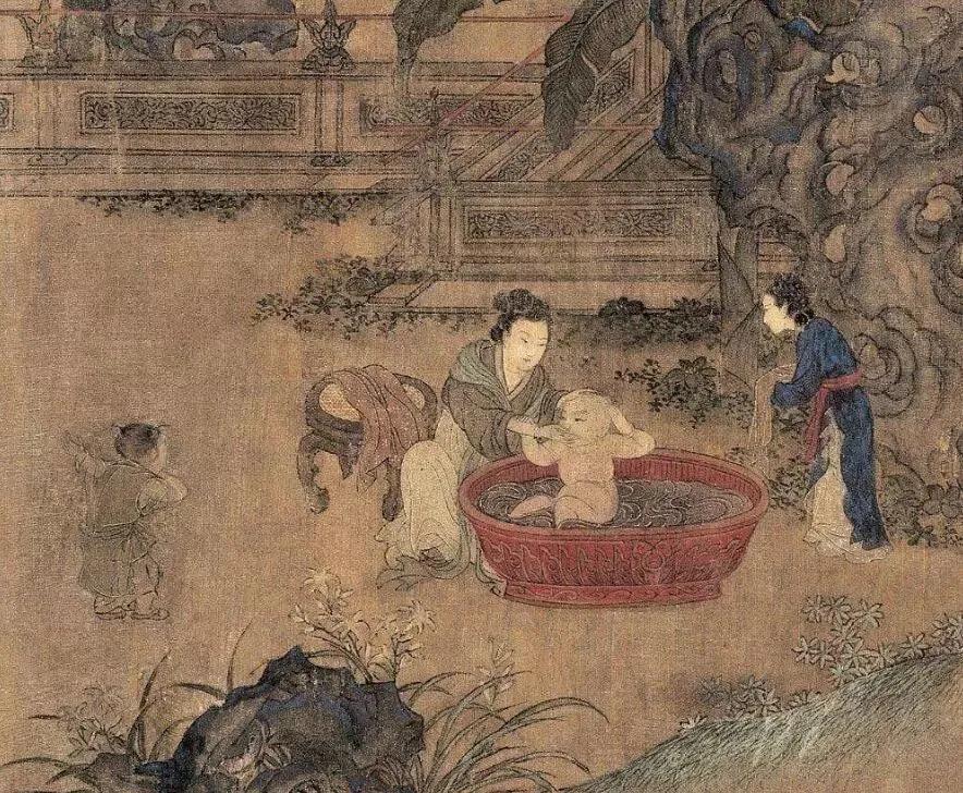 全球抗疫新篇章，新冠疫情最新发布与未来展望
