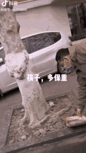 手机 第77页