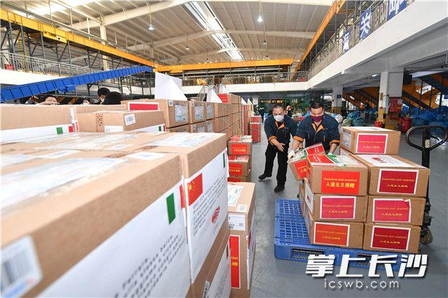 疫情下的双城记，上海与北京的防疫策略与人文关怀