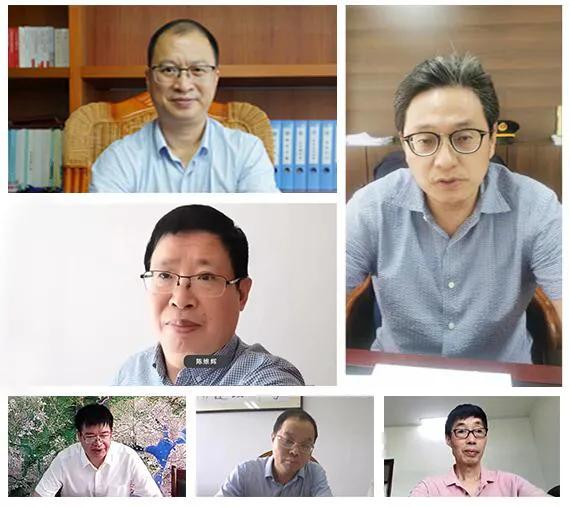 全球疫情视角下的深度剖析，新冠肺炎疫情新闻视频的全面解析