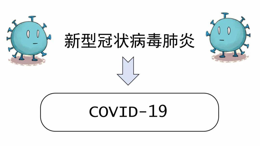 全球共克时艰，新型冠状病毒疫情的历程与反思
