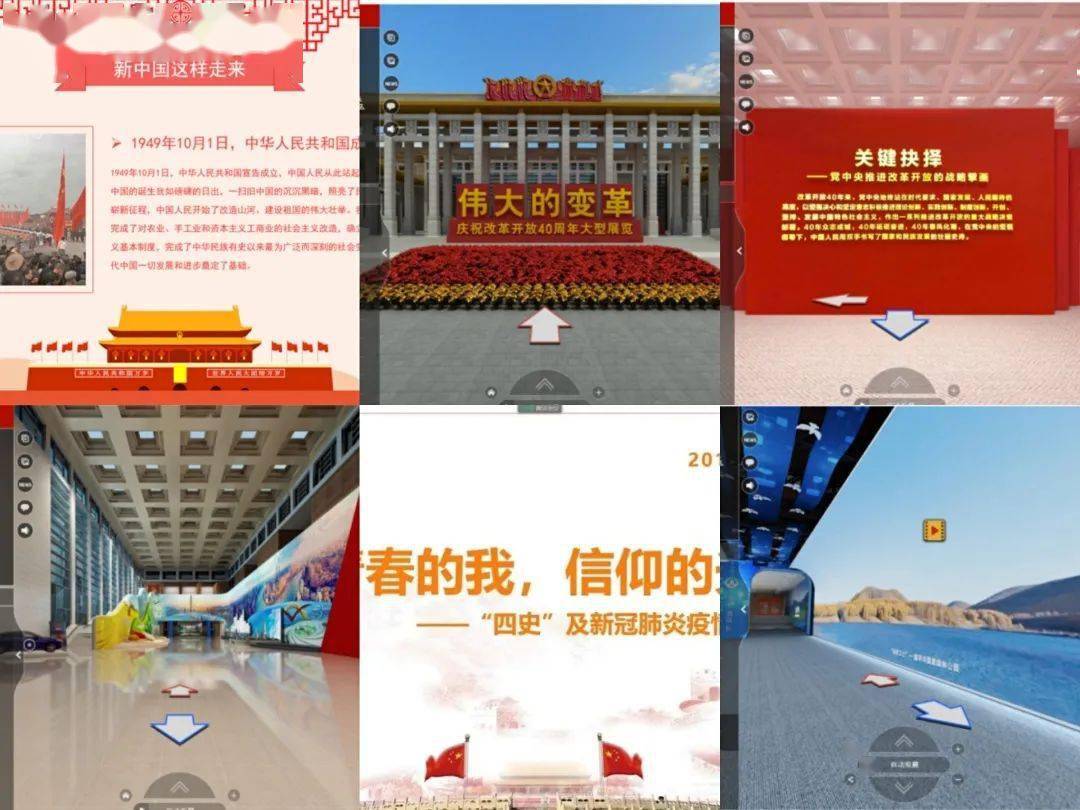 疫情下的知识之光，全面解析新冠疫情