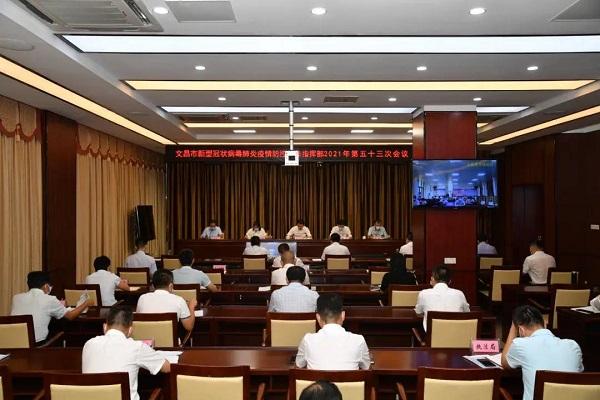 疫情阴霾下的探索与反思，新冠疫情的降临与应对