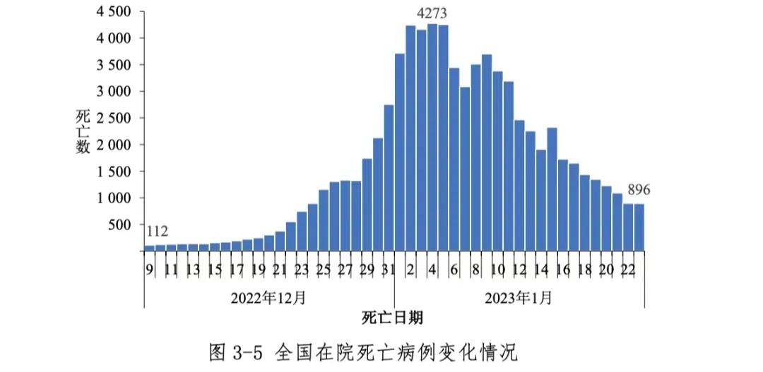 中国疫情的起点，时间、影响与应对策略