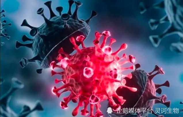 揭秘新冠疫情的起源之谜，疫情溯源的探索
