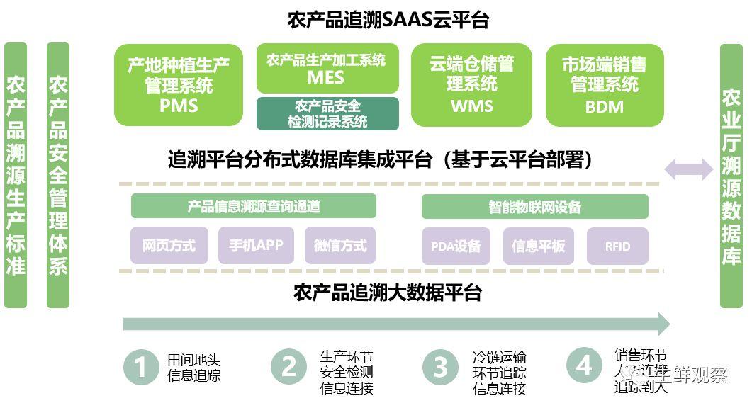新冠疫情的初现与全球影响