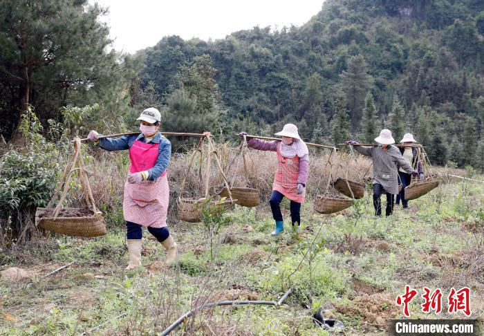 山东新冠疫情最新动态，防控措施与成效分析