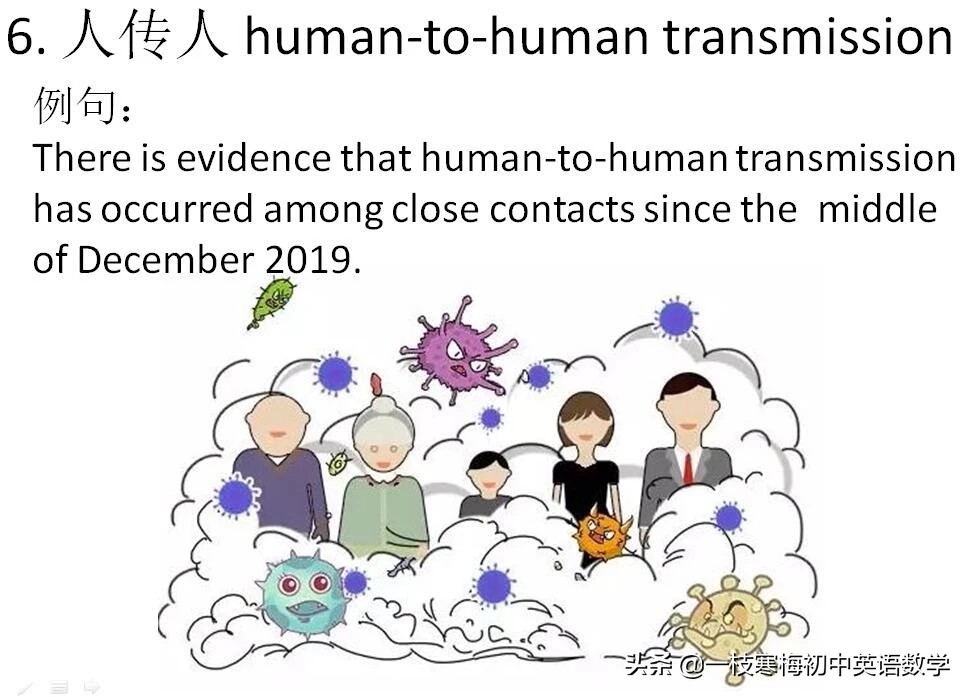 疫情之声，新冠疫情英语配音素材的深度剖析与启示