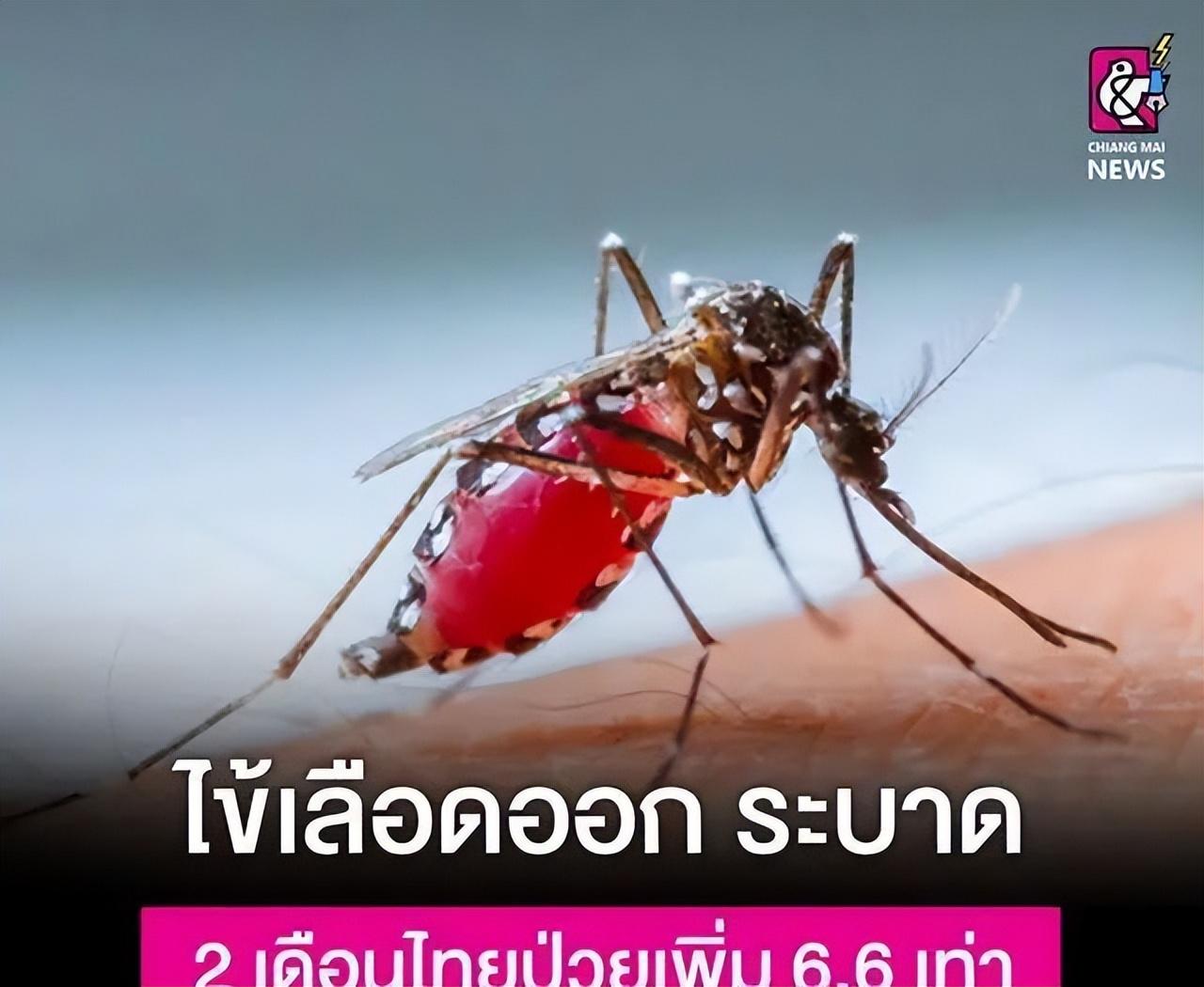 全球团结与个人责任，共克时艰的英语演讲