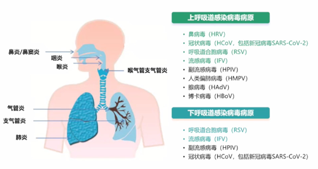 全面解析新冠疫情新动向，从常见到隐匿症状的深度了解