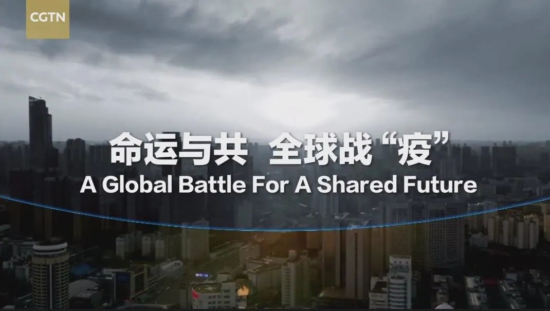 武汉疫情，生命的代价与全球的深刻反思
